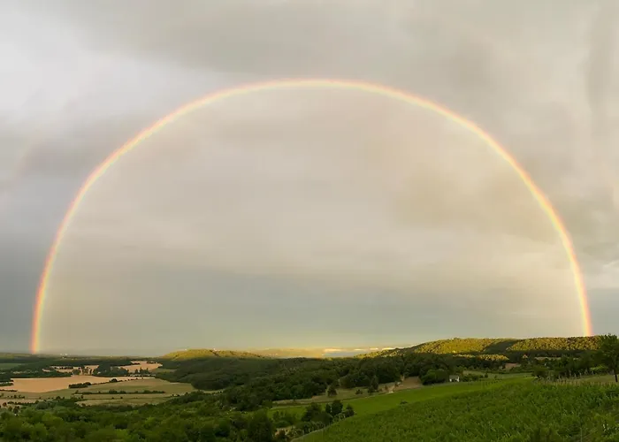Borbora Borhaz Vilă *